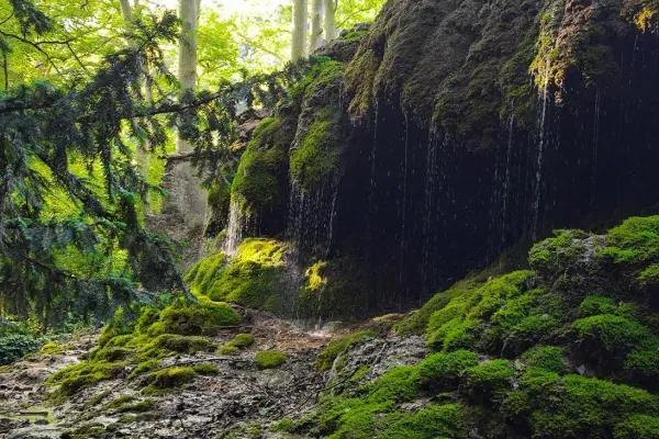 Yoga Semaine 19